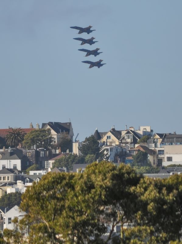 DSC_2637.JPG