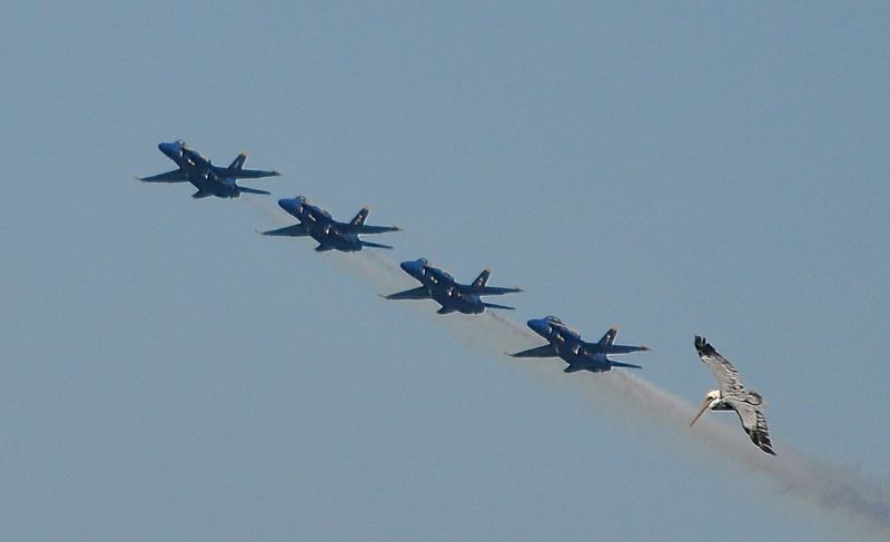 DSC_2932.JPG