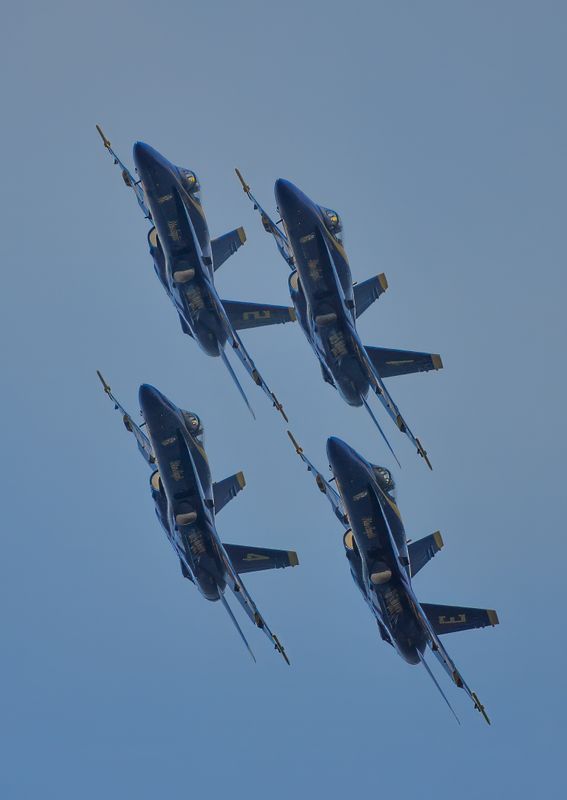 DSC_3218.JPG
