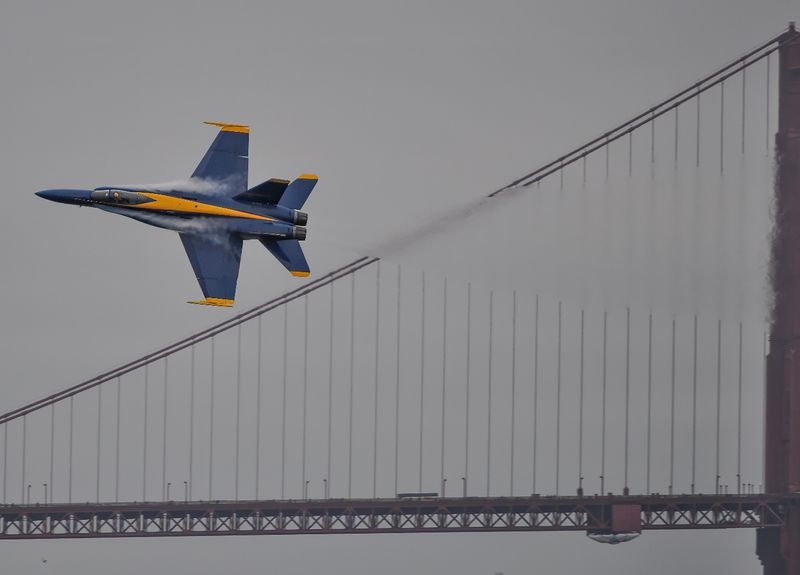 DSC_3485.JPG