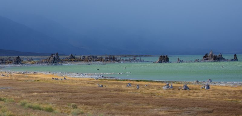 DSC_1423.jpg