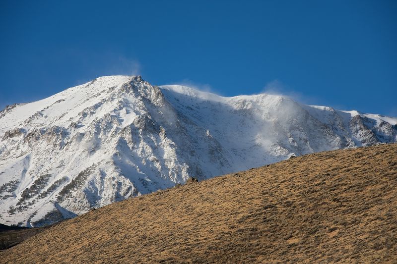 DSC_1482.jpg