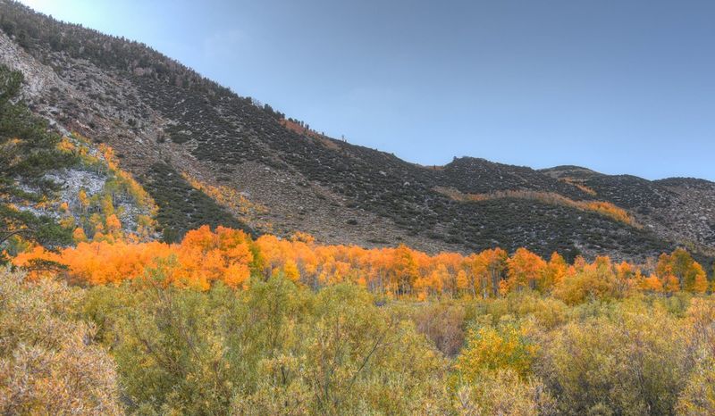 DSC_2836.jpg