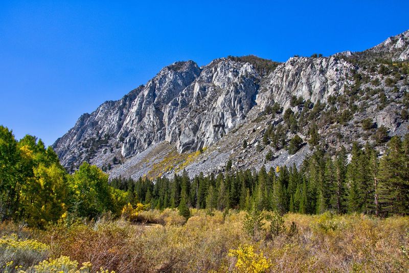 DSC_2915.jpg