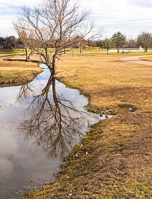 The creek (1/3/23)