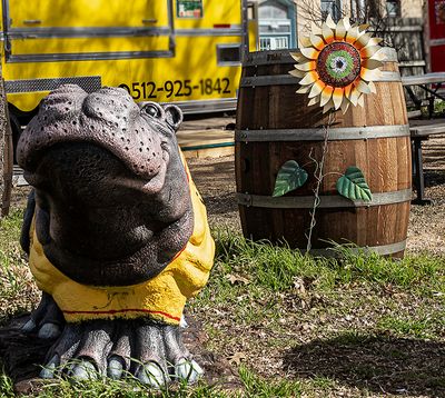 The welcome Hippo and the sunflower