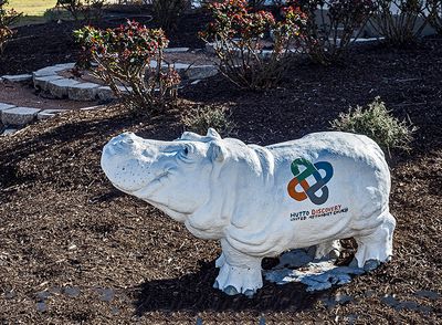 Methodist church hippo (2/22/23)