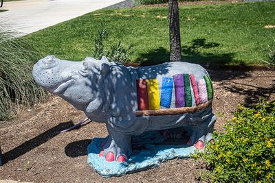 Library Hippo