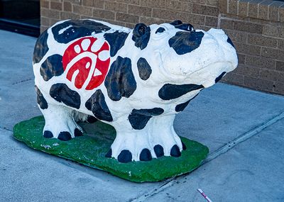 Chick-fil-A hippo (07/12/23)