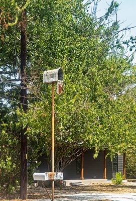 Tall Mailbox (08/21/23)