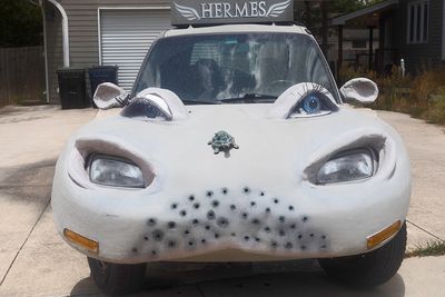 Hippo Car 1 (08/23/23)
