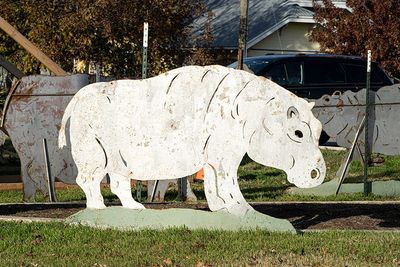 Plywood hippo