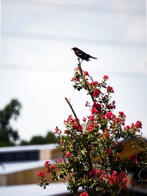 P6151719-Edit.jpg