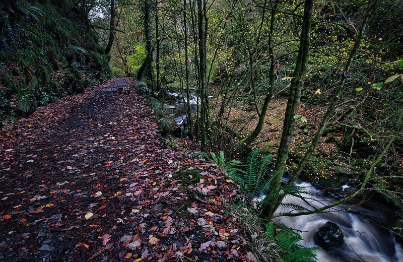 The old silica mine tramway, now a popular footpath.