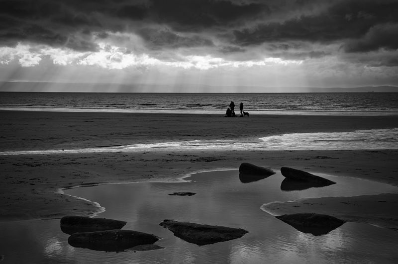 A very monotone day.