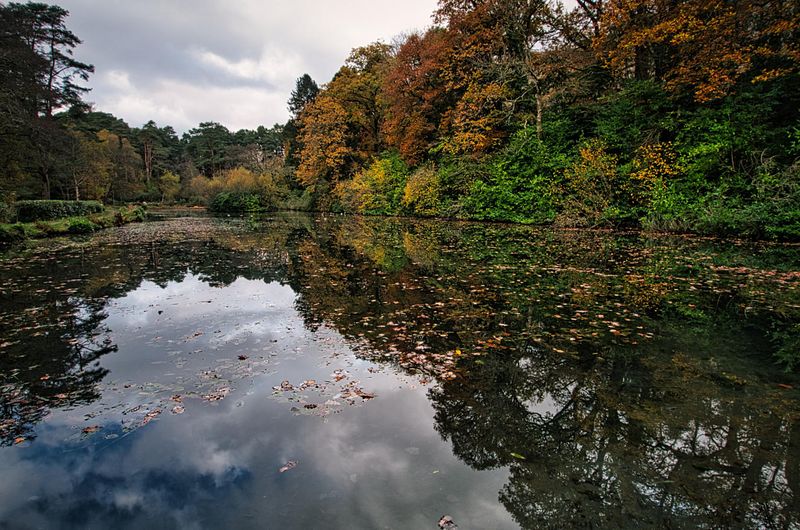 Craig-y-Nos Country Park.
