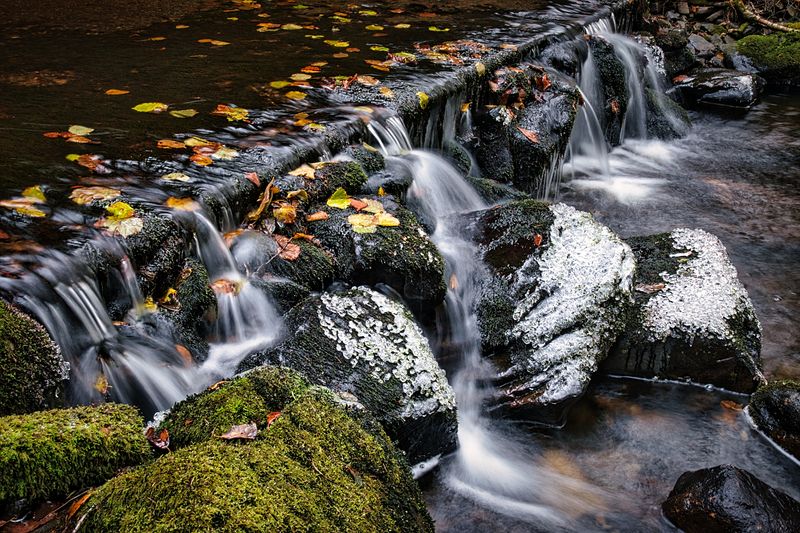Winter at Llwyn-Onn