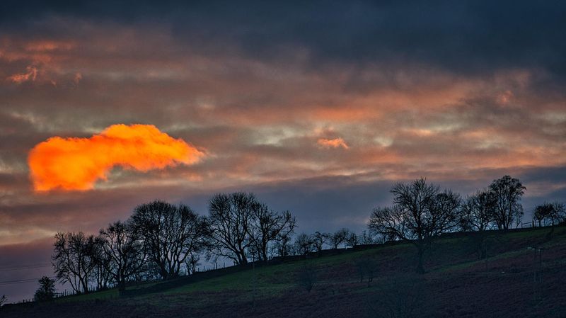 DSC_5746_01.JPG