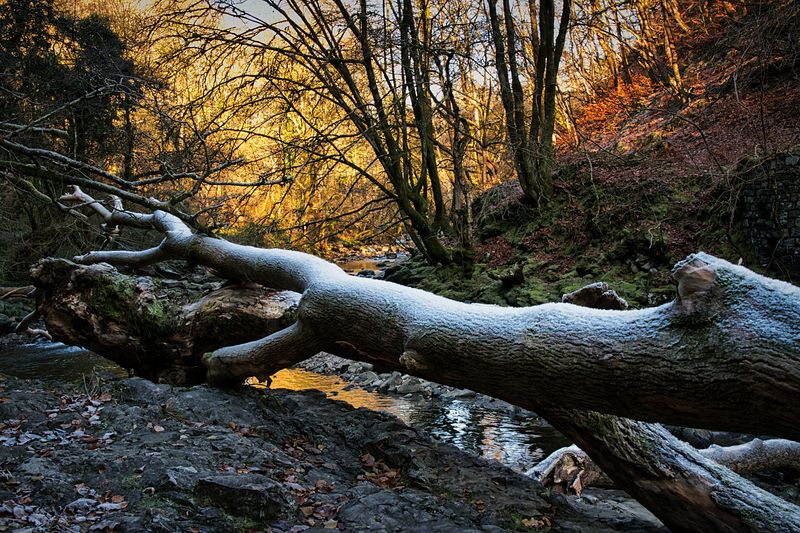 Debris left high and dry at the Farewell Rock and covered in frost.
