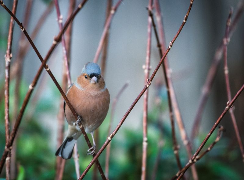 DSC_6135.jpg