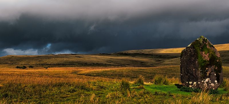 DSC_3615_01.JPG