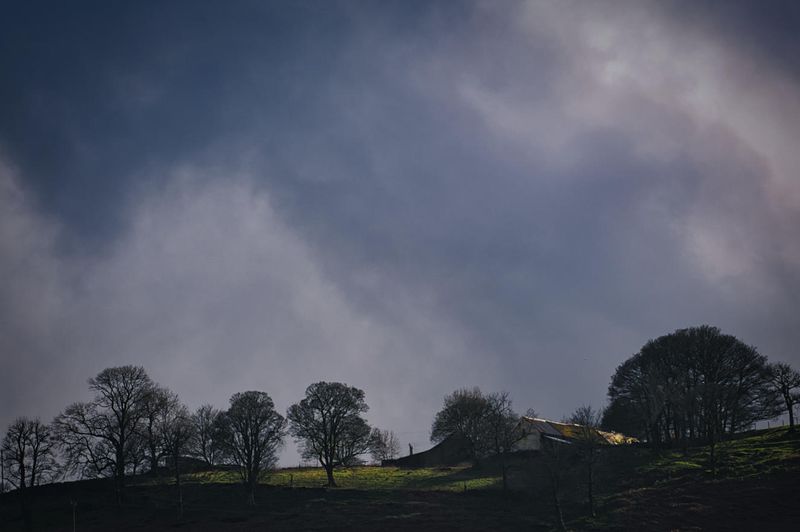 A sliver of light on a winters day.