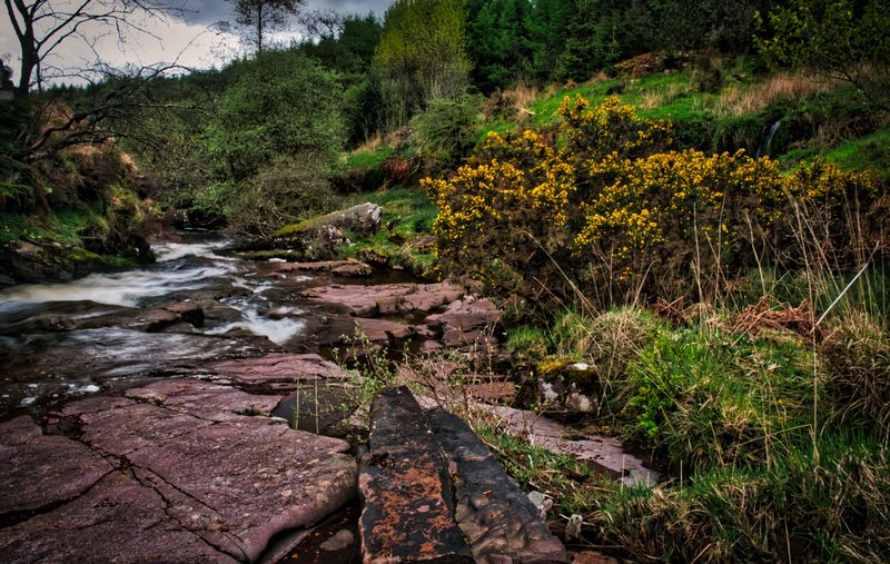 Sandstone and gorse, Blaen Llia.