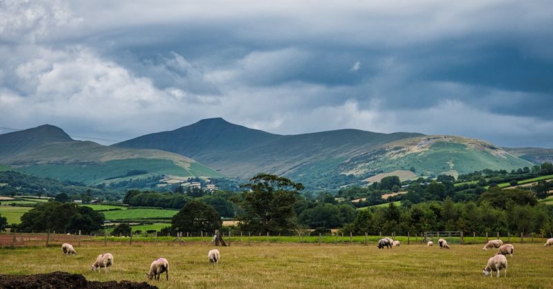 Brooding Beacons.