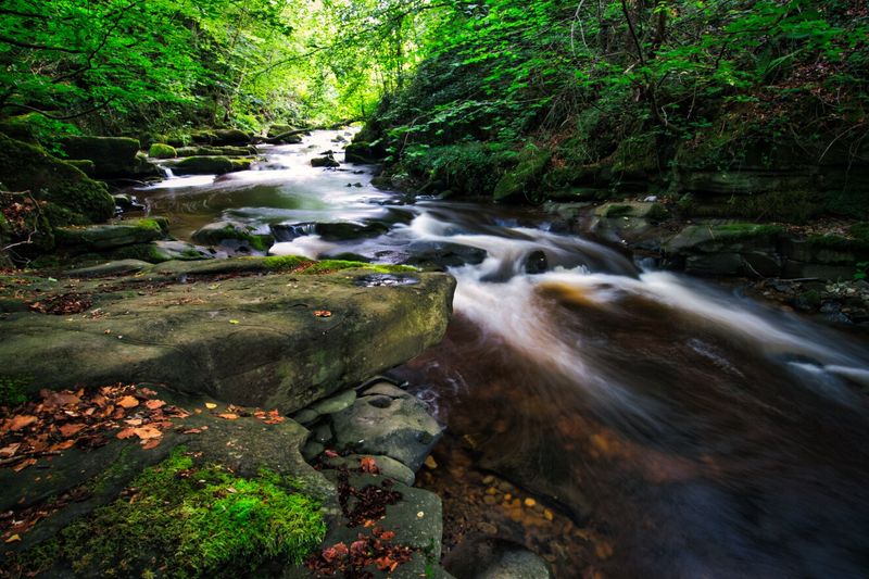 Clydach Gorge near Abergavenny.