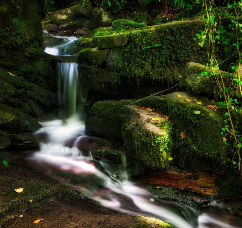 Small mountain stream at Clydach Gorge.