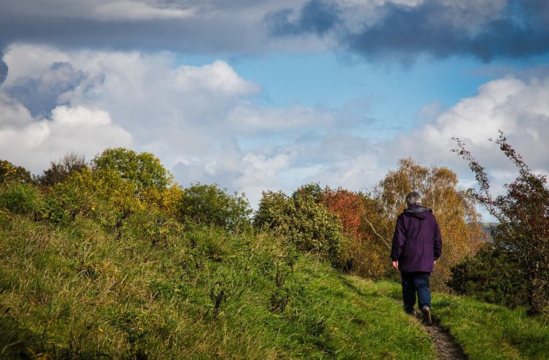 Autumn walk.