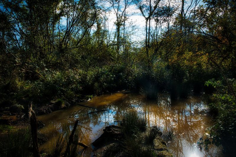 Muddy reflections.