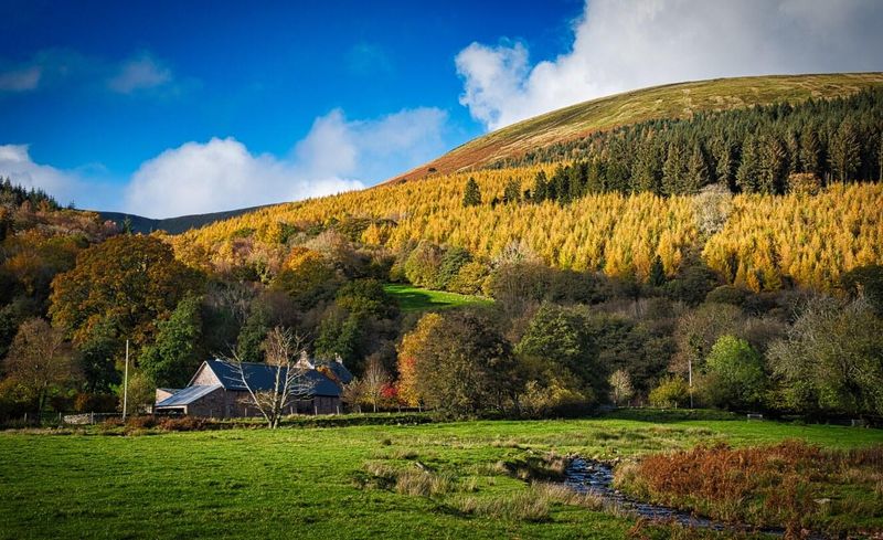 Abercynafon.