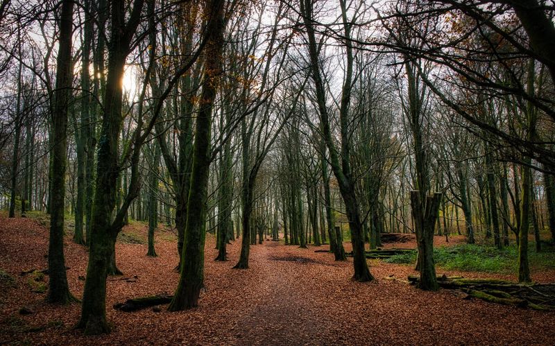 Winter beckons.