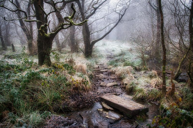 Frost in the glacial cwm.
