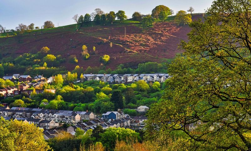 Evening light on Miskin.