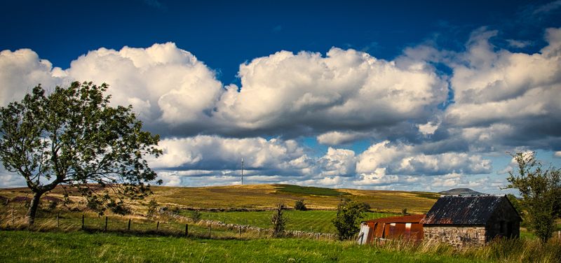 Windswept on the Blorenge Mountain.