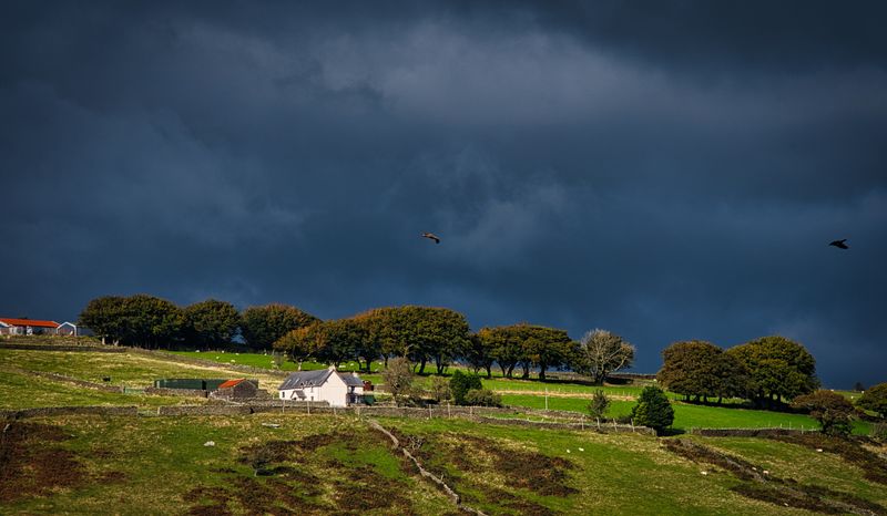 Where Kites and Ravens fly.