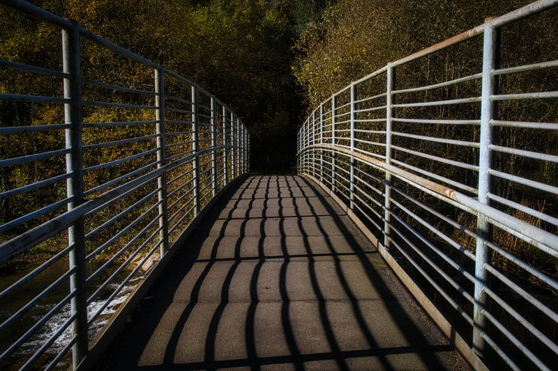 Bridge