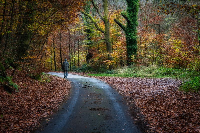 Walking Trevithicks tramroad.