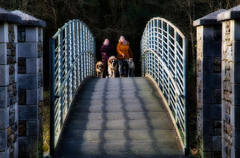 St Bernards bridge.
