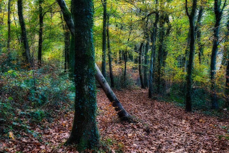 DSC_2638.jpg