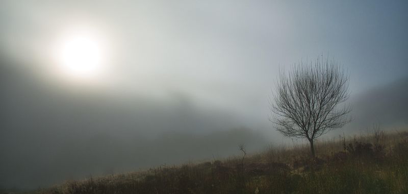 Foggy abstract.