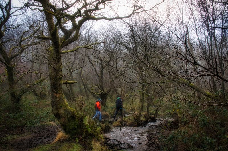 Walking in the glacial cwm.