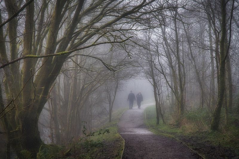 Walking in the December fog.