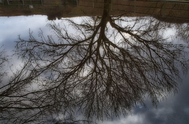 Flooded car park reflections.