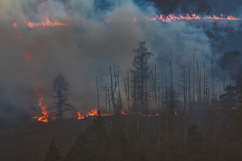 Fire above Darren-Las, Mountain Ash.