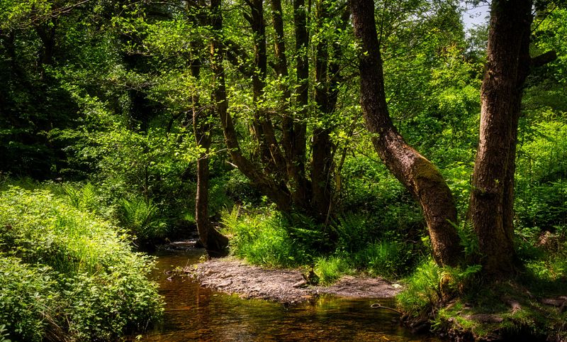 Upper reaches of the River Dare.
