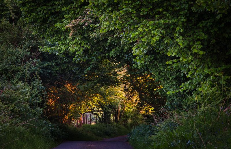 Light in the tunnel.