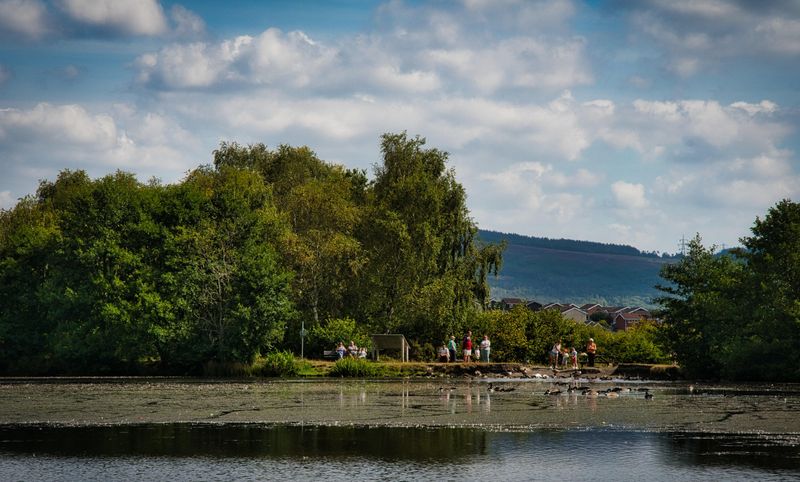 Feeding the ducks and geese, top lake.